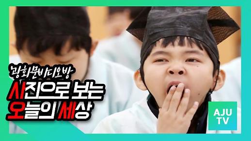 [광화문비디오방] 사진으로 보는 오늘의 세상