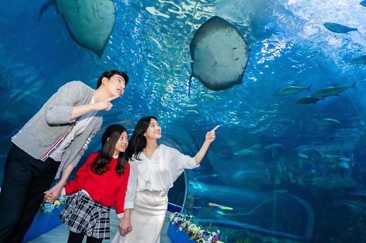 ​[미세먼지 걱정 없는 실내 놀이터①]미세먼지 피해 한화 아쿠아플라넷에서 놀기