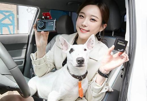 반려동물 뭐하는지 궁금하시죠? IT공룡들 1000만 집사 노린다