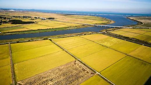 1ha의 넓이는 얼마일까…정부, 쌀 생산조정제 면적 당 지원금 발표