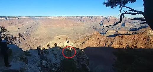 [속보] 기재부, 그랜드캐년 추락 대학생 구제 관련 관련 용도의 예산 없었다