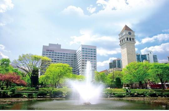 2019泰晤士世界大学经营经济专业排名：世宗大学位列韩国第五