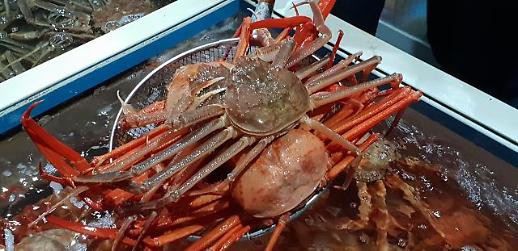 [영상트립]고소하고 달콤하고~울진대게와 붉은대게 맛있게 먹는 꿀팁