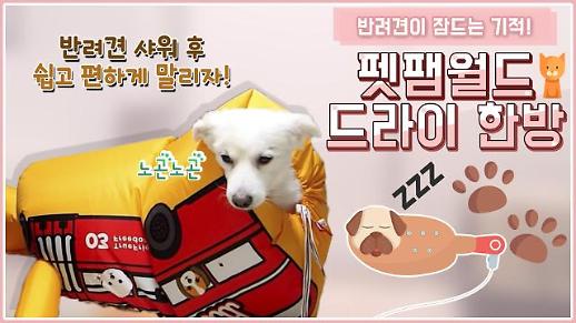 [영상/대놓고홍보] ‘스트레스 없이 말려줄개’ 반려동물 드라이쟈켓 ‘펫팸월드 드라이 한방’ 편