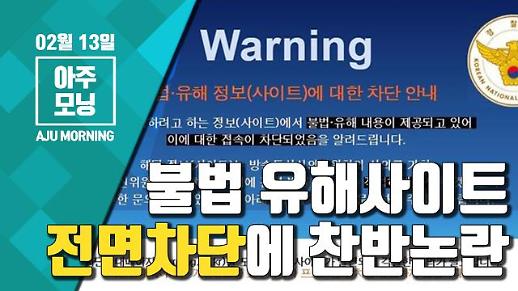 불법 성인사이트 전면차단, 불법은 처벌이 마땅 VS 표현의 자유