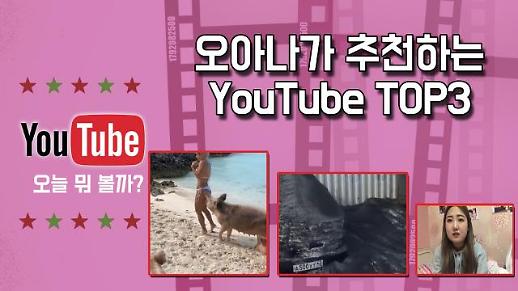 [유튜브TOP3] #야생돼지모델엉덩이 #러시아검은눈 #최준희학교폭력사과