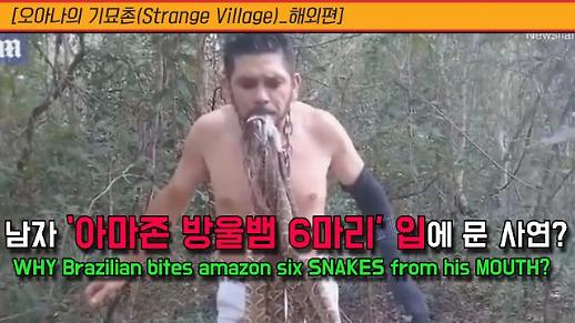 [오아나의 기묘촌(Strange Village)_해외편] 아마존 방울뱀 6마리 입에 문 안타까운 사연?