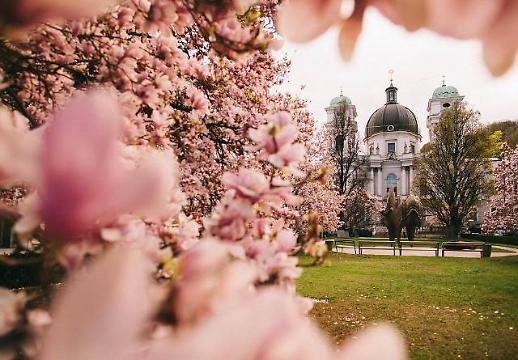 전국 미세먼지 농도 나쁨…청정 잘츠부르크 봄꽃 투어 관심