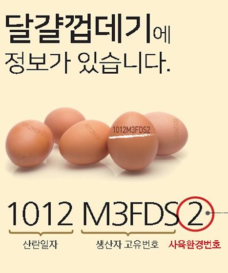 팩트체크] 계란 산란일자 표시, 한국만 의무시행 왜? | 아주경제