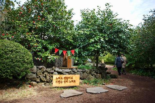 [봄맞이 기차여행③]육‧해‧공, 온 몸으로 만끽해 봄! 가성비‧가심비 좋은 제주도 봄 여행