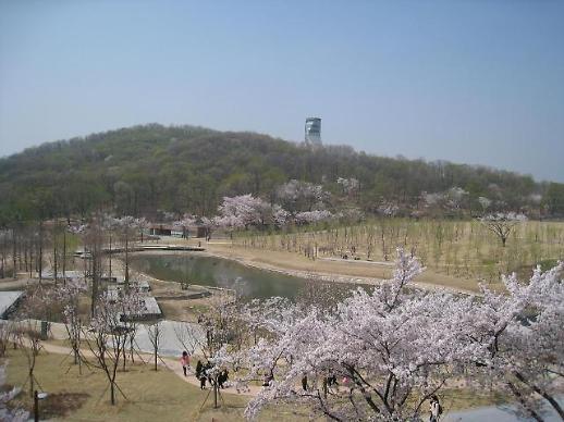 찾았다! 축제보다 아름다운 서울 벚꽃 명소..북서울꿈의숲, 서울어린이대공원, 안산 등 