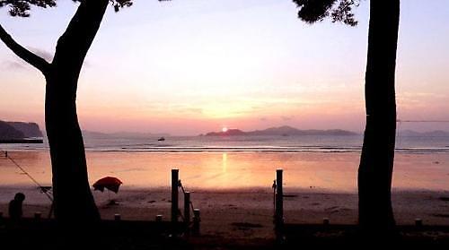 경칩 일주일 앞둔 봄...봄에 가고 싶은 아름다운 섬 7곳 선정