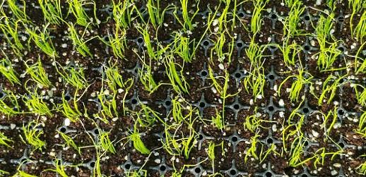 [광화문갤러리] 전남 완도의 한 산골마을에서 보내온 봄소식