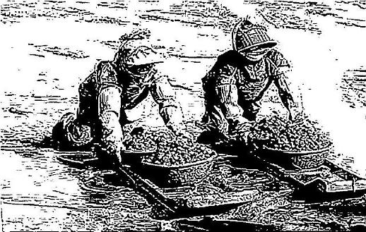 [빈섬의 시샘]널배 - 이지엽