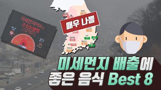 [지금이뉴스] 사상최악의 미세먼지, 신체 배출 최적화 음식 BEST8