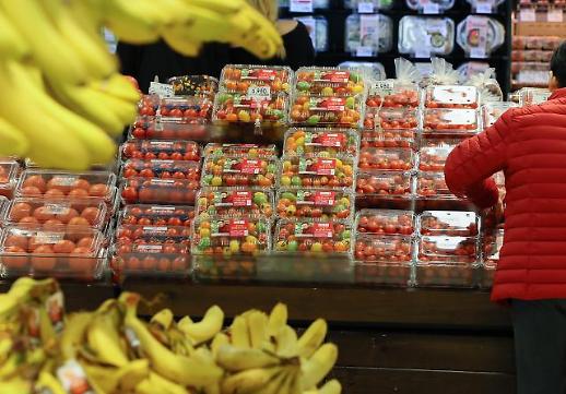 [고개드는 디플레이션] 물가 두달 연속 0%대 상승…깊어가는 저성장의 늪