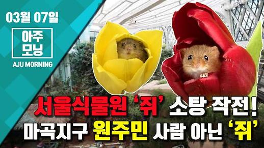 [영상] 서울식물원 ‘쥐’ 소탕 작전! (Feat. 마곡 원주민 쥐) [아주모닝]