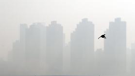 S. Korea seeks joint offshore artificial rain experiment with China