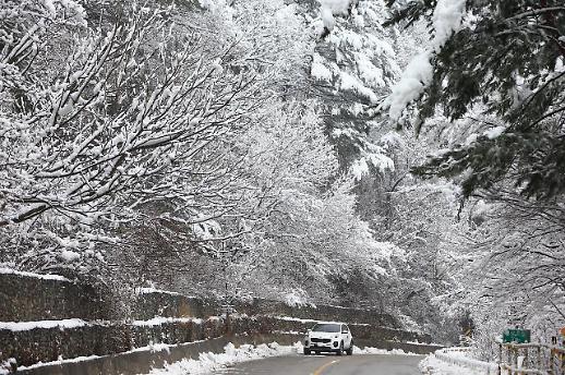 [광화문갤러리] 봄을 시샘하는 폭설이 내린 강원도