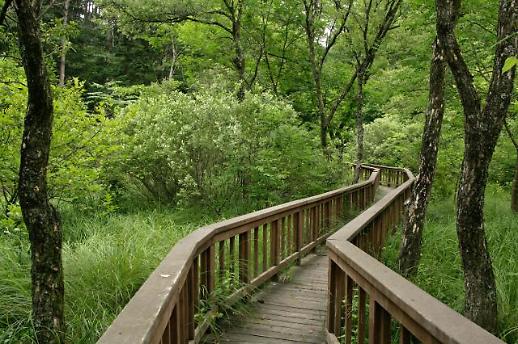 올 식목일엔 국립수목원에서 힐링하고 다양한 산림생물 감상하자!