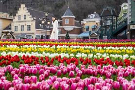 Du lịch Hàn Quốc tháng ba: Đến Everland và tham gia Lễ hội hoa Tulip 