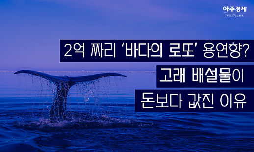 2억짜리 바다의 로또 용연향? 고래 배설물이 돈보다 값진 이유[카드뉴스]