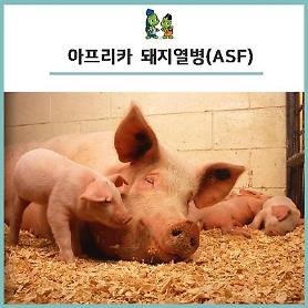 Nhà chức trách phát hiện dấu vết của ASF trong xúc xích của du khách đến từ Trung Quốc