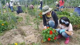 Thành phố Siheung triển khai mô hình “trường học nông dân” dành cho trẻ em