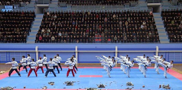 韩朝跆拳道示范团下月在瑞士举行联合演出