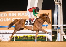 Đua ngựa Hàn Quốc... Tổng giải thưởng trị giá 48 triệu USD tại Dubai World Cup