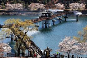 Du lịch Hàn Quốc mùa xuân: ngắm hoa đào ở Andong