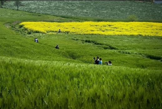 ​[미래의 농어촌]보셨나요? 초록파도