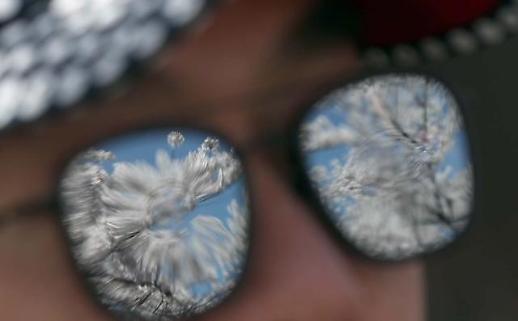 [광화문갤러리] 진해는 지금 벚꽃 천지