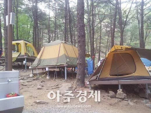 이번 주말은 스마트한 봄 캠프닉 떠나볼까