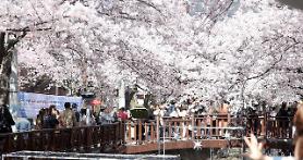 Hợp tác Trung – Hàn về vấn đề năng lượng thân thiện với môi trường