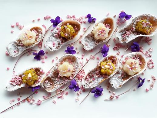 [광화문갤러리] 꽃샘추위 피해 목련 속에 핀 봄