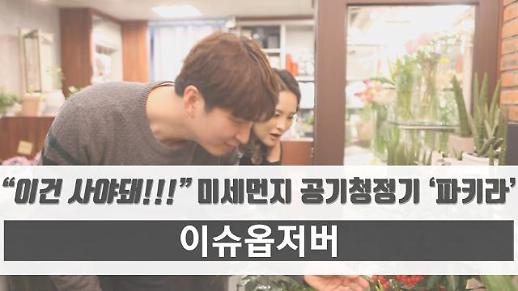 [영상] 미세먼지 박멸시킬 파키라 사러 꽃집 갔다 [이슈옵저버]