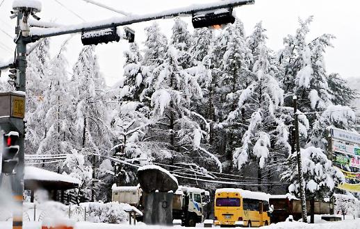 [광화문갤러리] 봄이 멈춘 도시...강원도 태백의 4월 풍경
