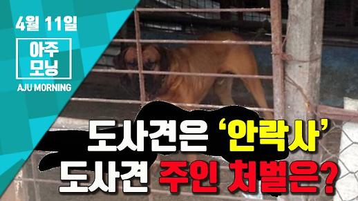 [영상] ‘도사견에 물려 사망’ 사건, 도사견 ‘안락사’ · 도사견 주인 처벌은? [아주모닝]