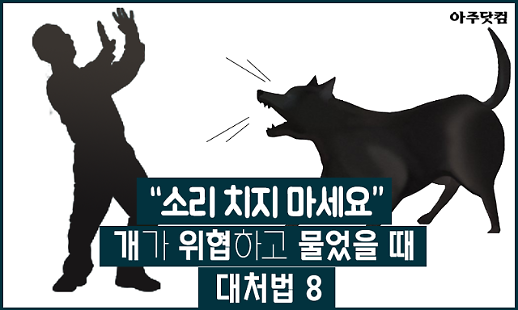 소리 치지 마세요! 개가 위협하거나 물었을 때 대처법 8 [카드뉴스]