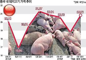 Sự cố cúm lợn Châu Phi đang lây lan ở Trung Quốc có thể đẩy giá thịt lợn trên toàn thế giới tăng cao