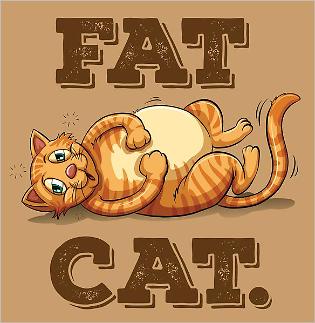 ​[세종24시] 하루 1분 경제 상식 - 살찐 고양이 법