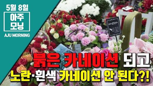 [영상] 어버이날, 붉은 카네이션은 되고 노란·흰색 카네이션은 안 된다?! [아주모닝]