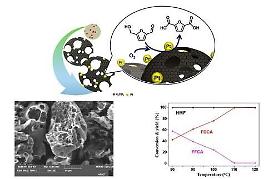 Researchers develop chitosan-originated catalyst for bioplastic production