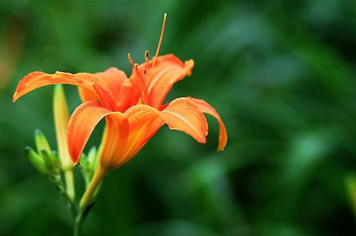 [오디오로 듣는 PMI중국] 어버이날, 어린이날... 중국은 쉴까? 안 쉴까?