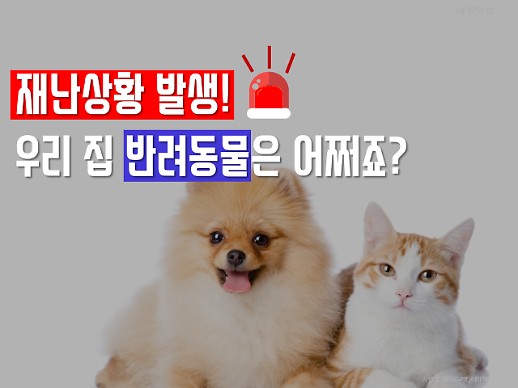언제까지나 지켜줄게!  반려동물과 함께하는 재난 대피, 이것만은 꼭 챙기세요