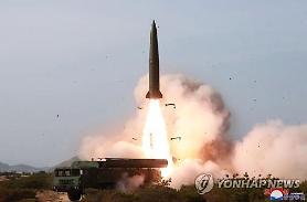 S. Korea decides to go ahead with $8 mln aid package for N. Korea through U.N. bodies