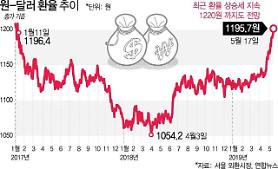 Hàn Quốc...số lượng đầu tư vào USD đang gia tăng