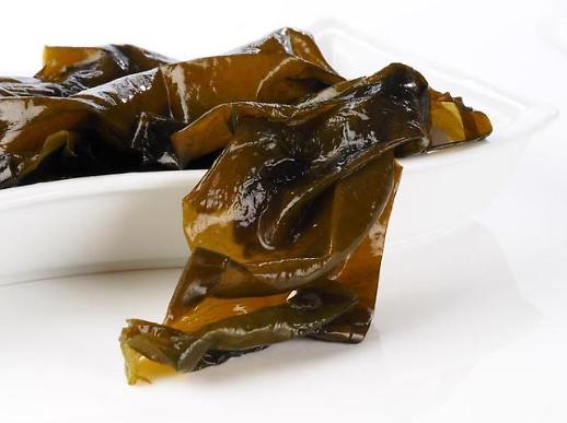 미역으로 자동차를 만든다고?