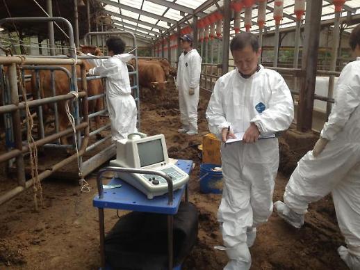 ​[미래의 농어촌]한우 사육 기간 3개월 줄이면…사료비 23만원 절감